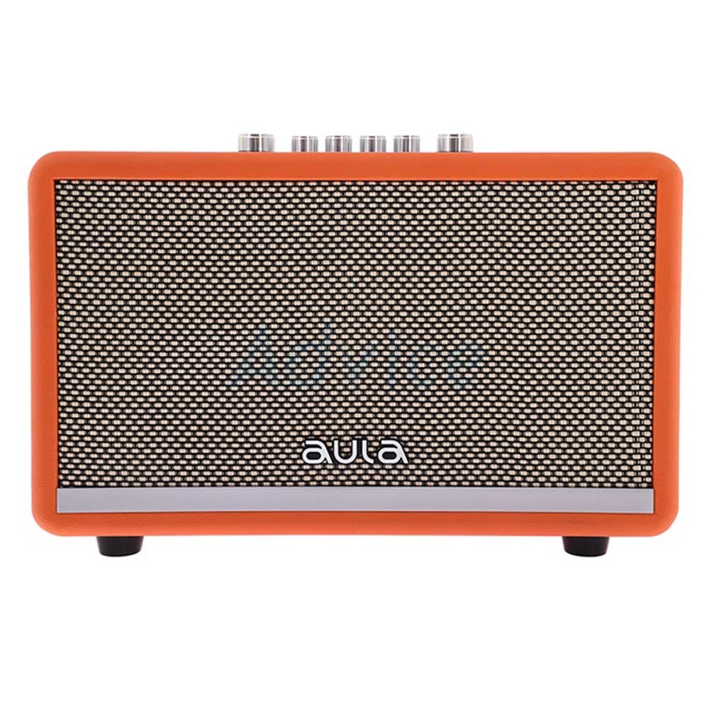 اسپیکر پرتابل بلوتوثی آئولا AULA AK811 همراه دو میکروفن کاراکوئه — تصویر ۵