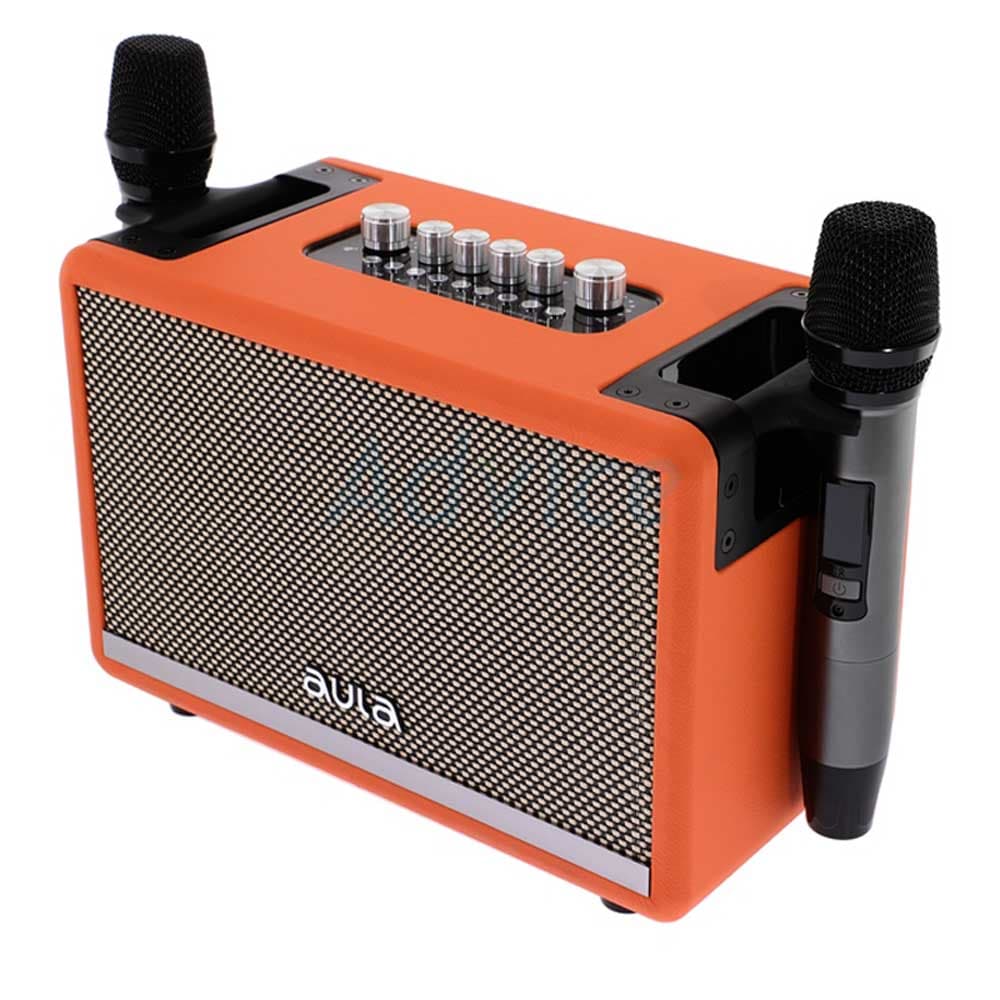 اسپیکر پرتابل بلوتوثی آئولا AULA AK811 همراه دو میکروفن کاراکوئه
