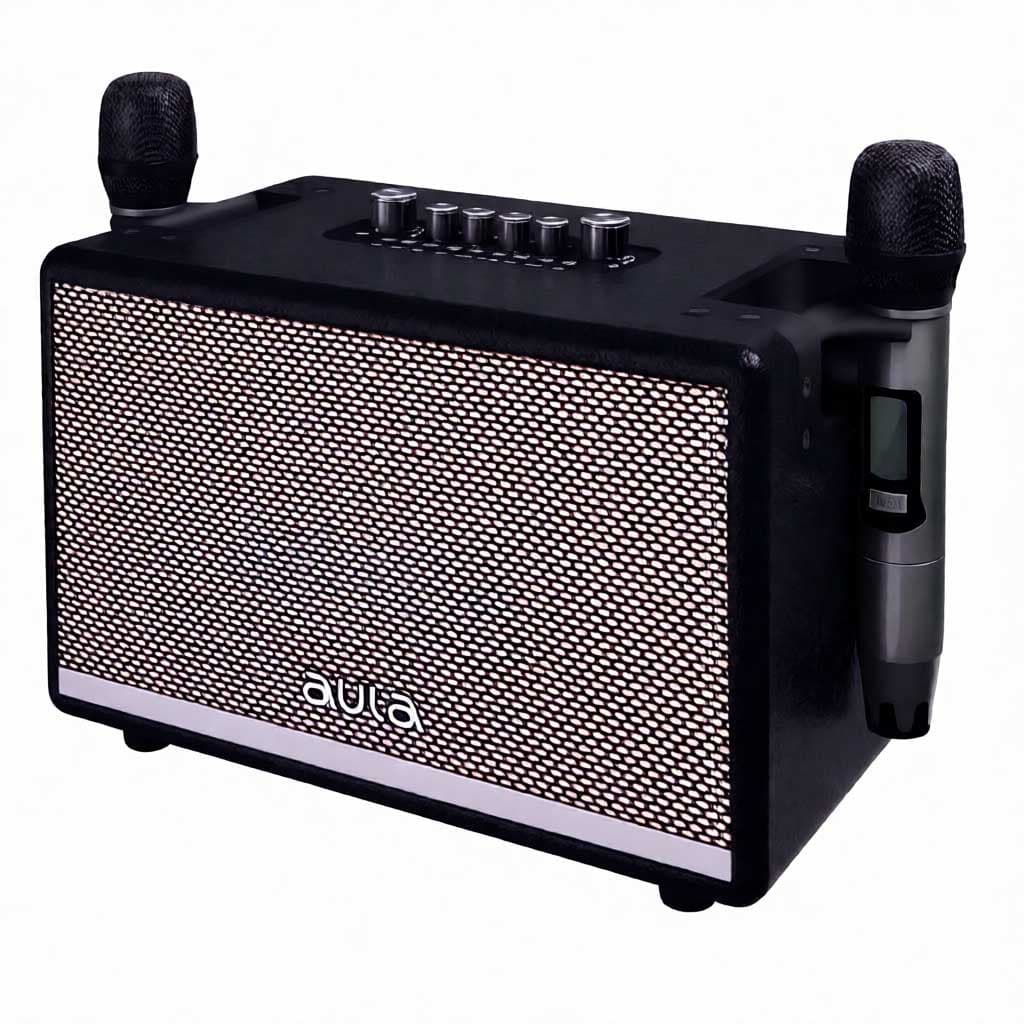 اسپیکر پرتابل بلوتوثی آئولا AULA AK815 همراه دو میکروفن کاراکوئه — تصویر ۳