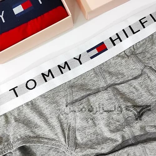 شورت مردانه تامی هیلفیگر Tommy Hilfiger اورجینال اسلیپ Premium طوسی — تصویر ۳