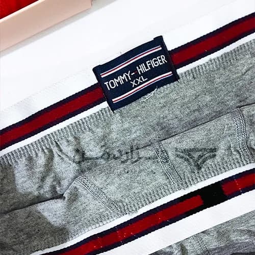 شورت مردانه تامی هیلفیگر Tommy Hilfiger اورجینال اسلیپ Premium طوسی — تصویر ۴