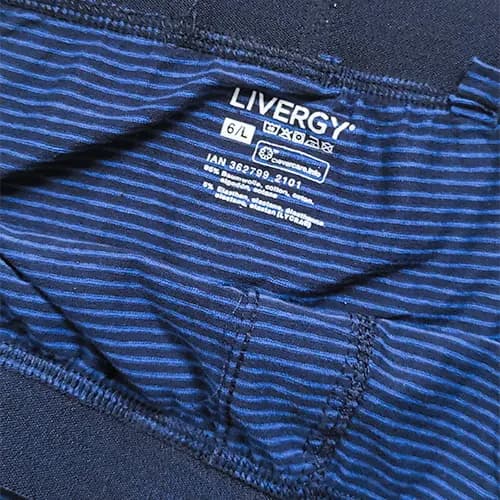 لگینگ مردانه کش پهن جذب بیس لایر لیورجی Livergy آلمان آبی سرمه ای راه راه — تصویر ۲