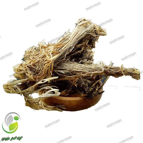 ریشه باباآدم(کد 05) — تصویر ۲