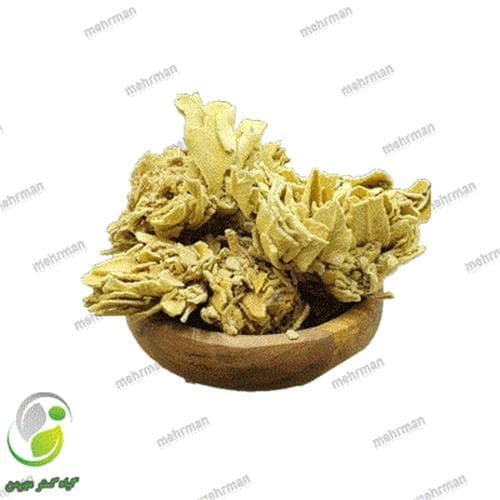 خرگوشک( گل ماهور)(کد 04)