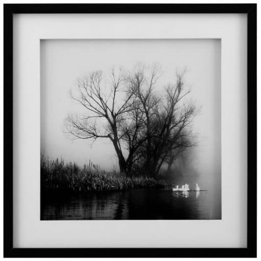 تابلو مدرن GEESE IN FOG کد WA-99115 رنگ WHITE/BLACK