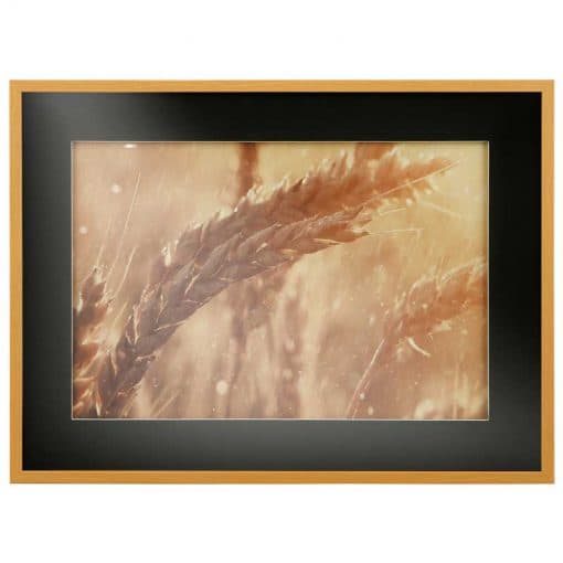 تابلو مدرن RAIN ON GOLDEN WHEAT کد GW-99108 BL N-B
