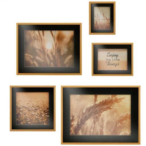 ست تابلو مدرن گل پامپاس (PAMPAS GRASS SET ) کد GW-99108-BL N