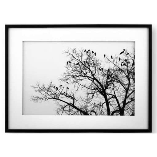 تابلو مدرن درخت و پرنده ها (FLOCK OF BIRDS ON TREE) کد WA-99104-WH/BL