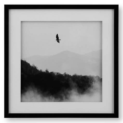 تابلو مدرن پرواز پرنده (BIRD MISTY HILLS) کد GW-99102-B-WH BL