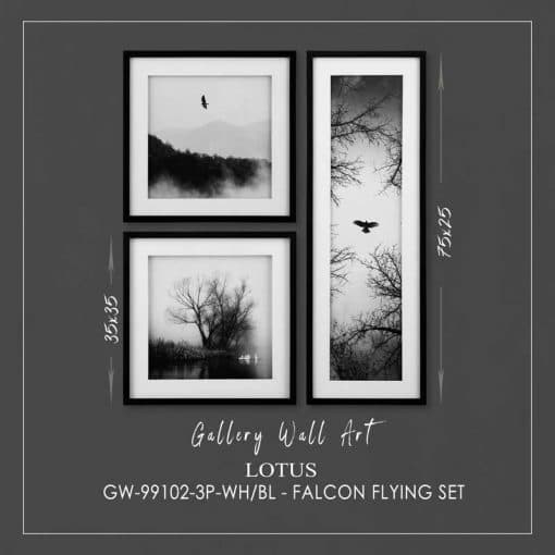 ست تابلو مدرن پرواز پرنده (FALCON FLYING SET) کد GW-99102-3P-WH/BL — تصویر ۳