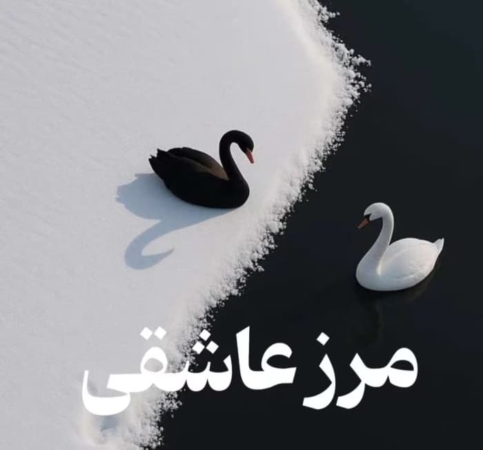 رمان مرز عاشقی اثر ناشناس | دانلود | کتاب خوان