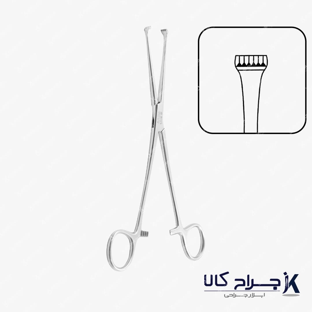 پنس آلیس allis tissue grasping forceps — تصویر ۳