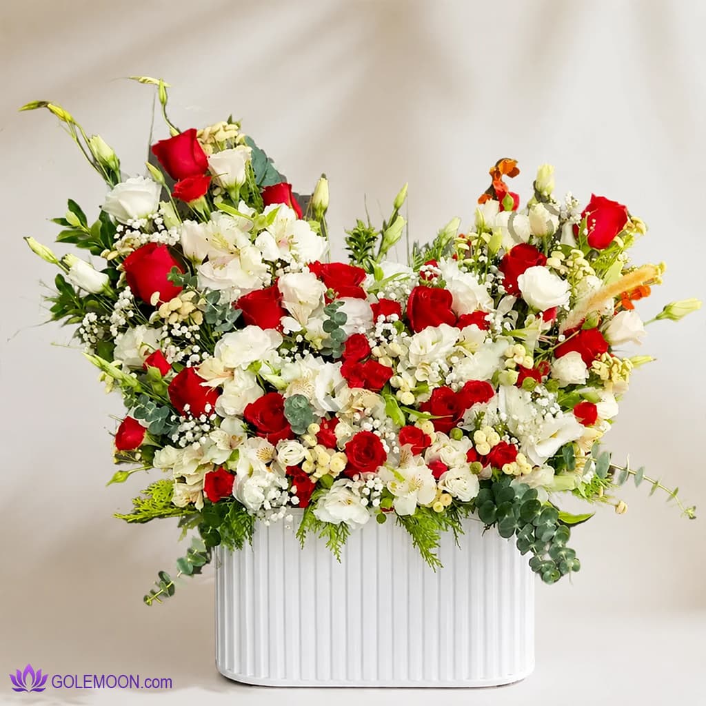 باکس گل طلاناز