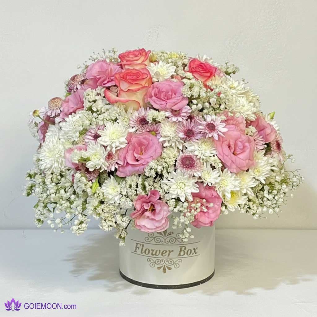 باکس گل روشنک