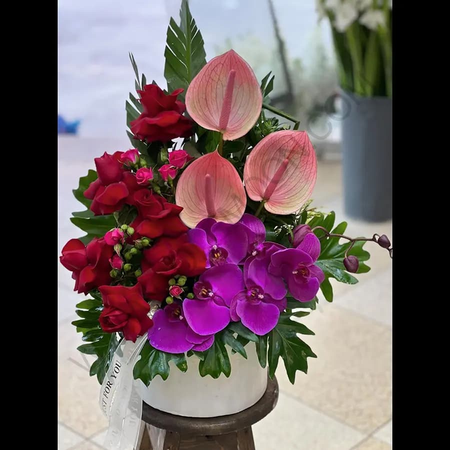 باکس گل یاشلار — تصویر ۳
