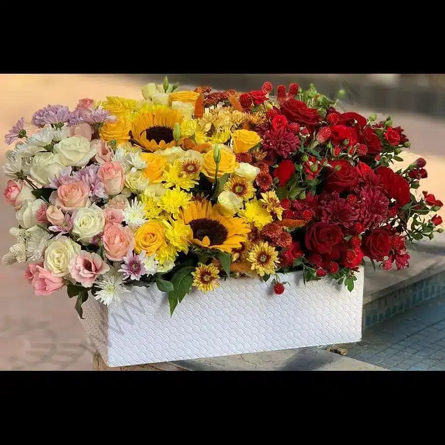 باکس گل یاغمور — تصویر ۳