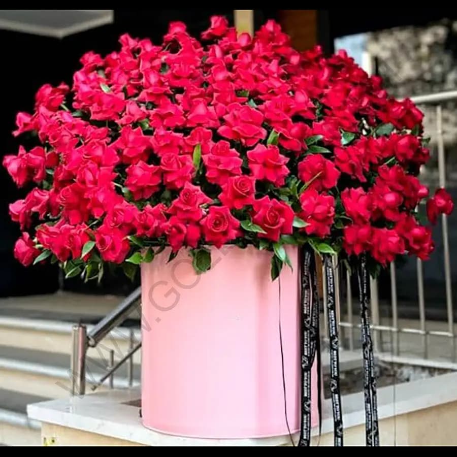 باکس گل پگی — تصویر ۳