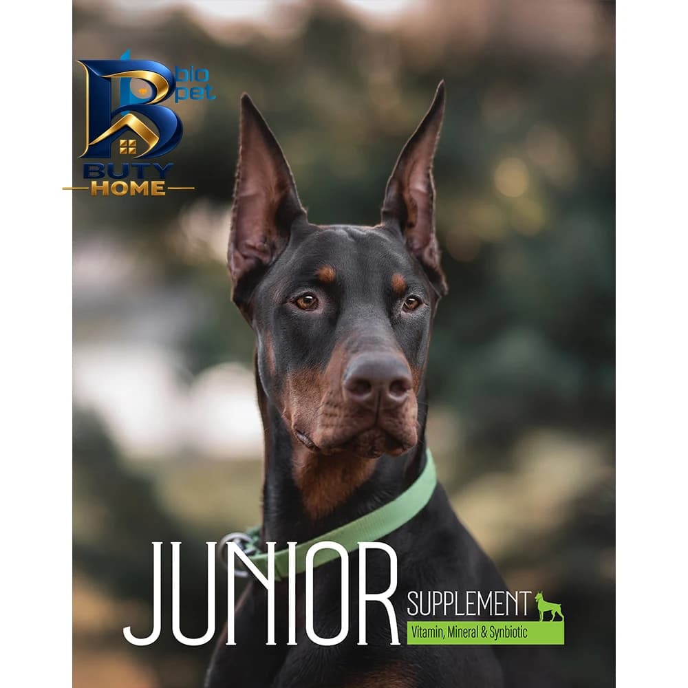 پودر مکمل سگ جوان و بالغ بایو پت مدل Junior وزن 400 گرم — تصویر ۵