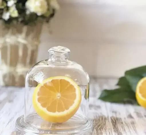 پنیرخوری پاشاباغچه مدل بیسیک کد 98397