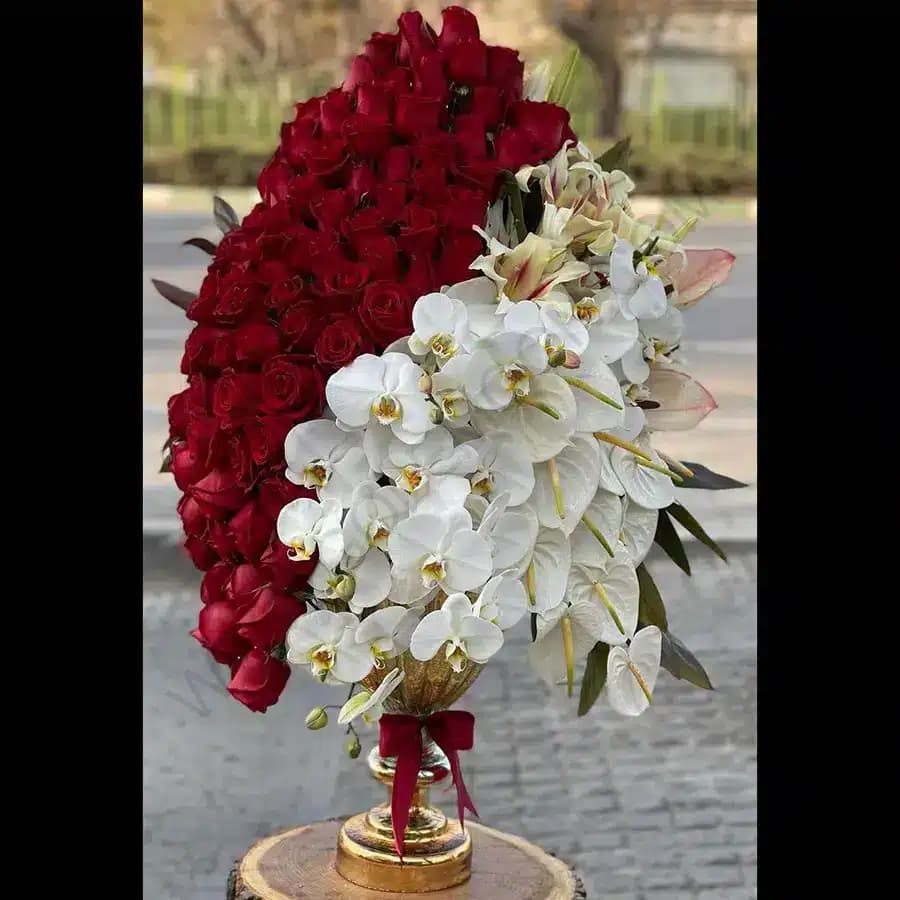 جام گل پریمولا — تصویر ۳