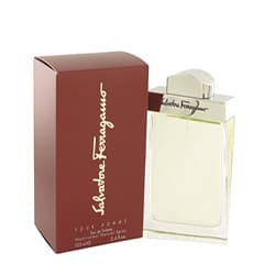 عطر مردانه سالواتوره فراگامو مدل Pour Homme حجم 100 ميلي ليتر — تصویر ۲