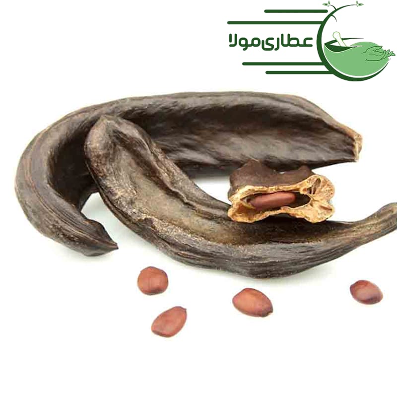 خرنوب اصل — تصویر ۳