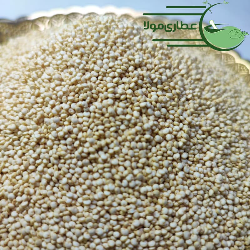کینوا سفید و رنگی