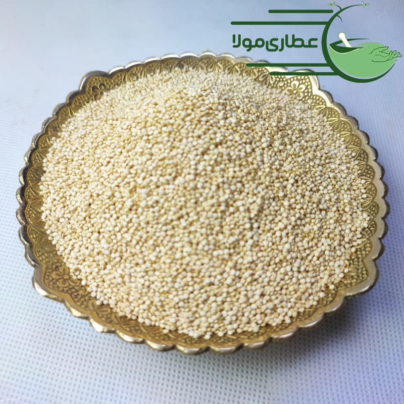 کینوا سفید و رنگی — تصویر ۳