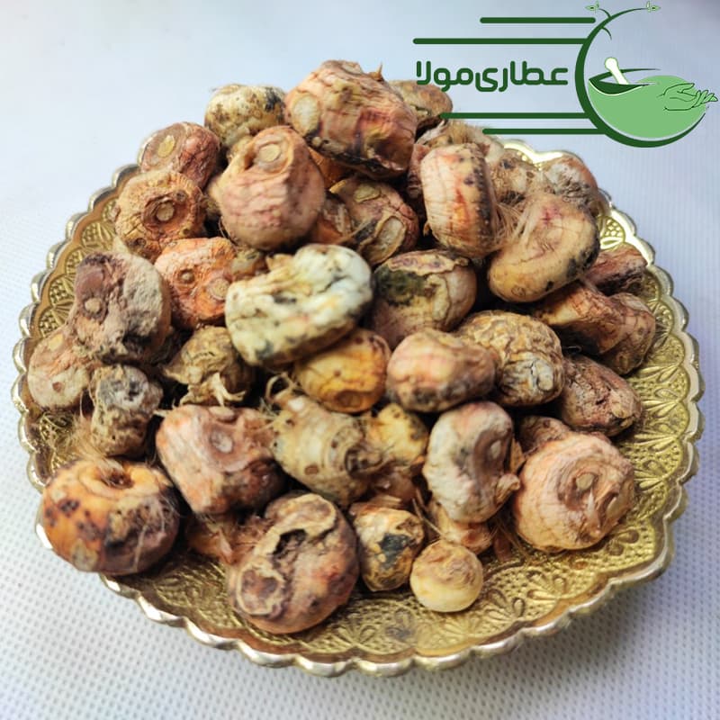 نخود الوند — تصویر ۴