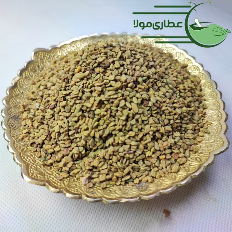 تخم شنبلیله ایرانی — تصویر ۴