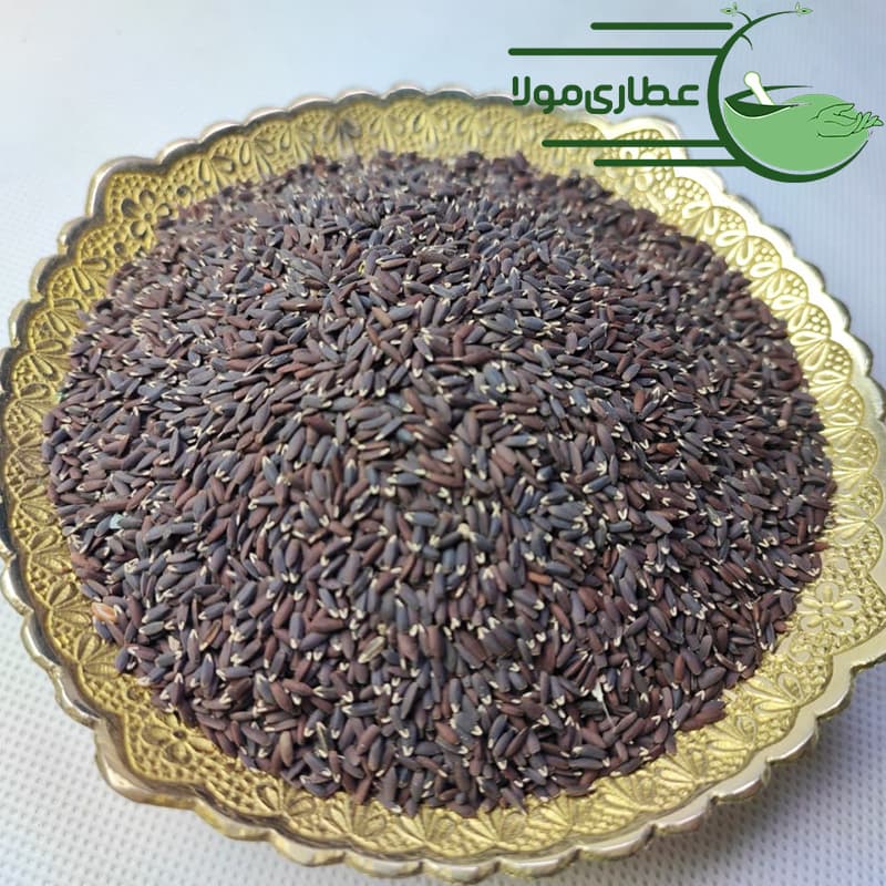 بزرک سیاه — تصویر ۲