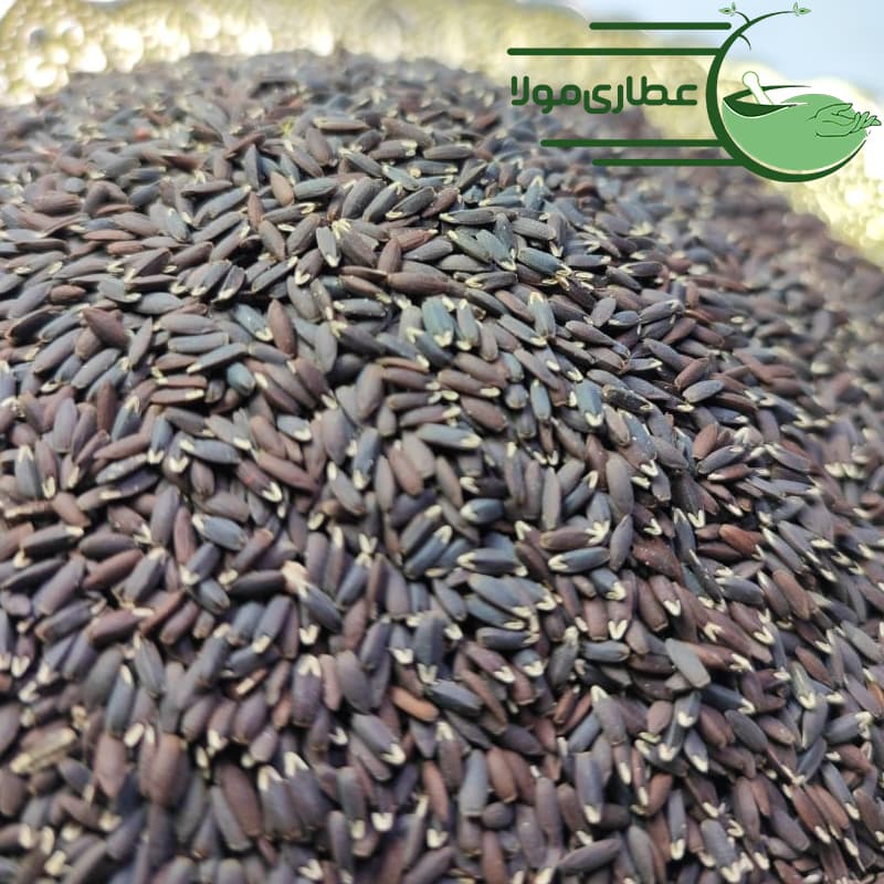 بزرک سیاه