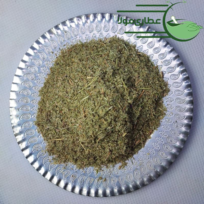 درمنه ترکی — تصویر ۳
