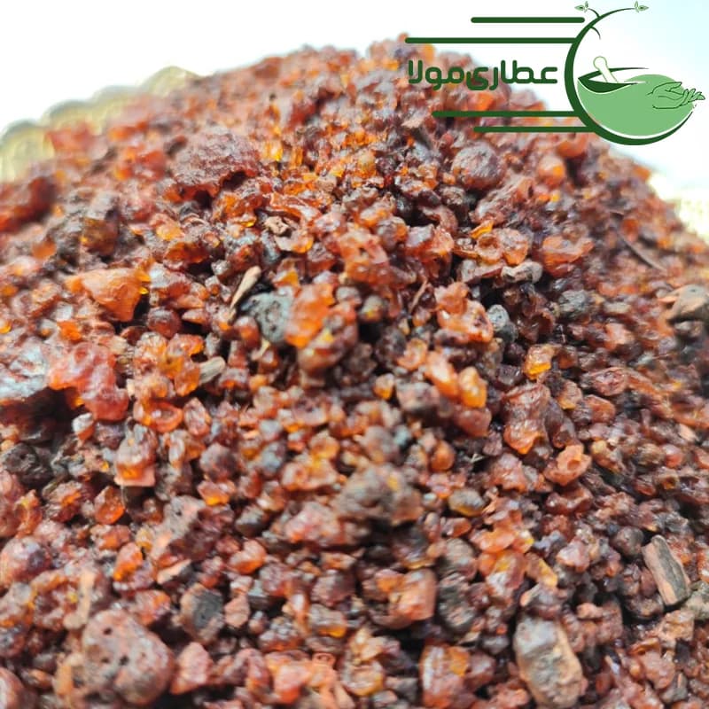 لاک مغسول اصلی دان — تصویر ۲