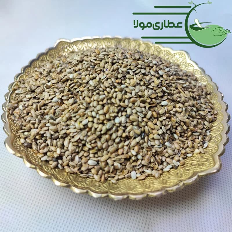 تخم خار مریم — تصویر ۳