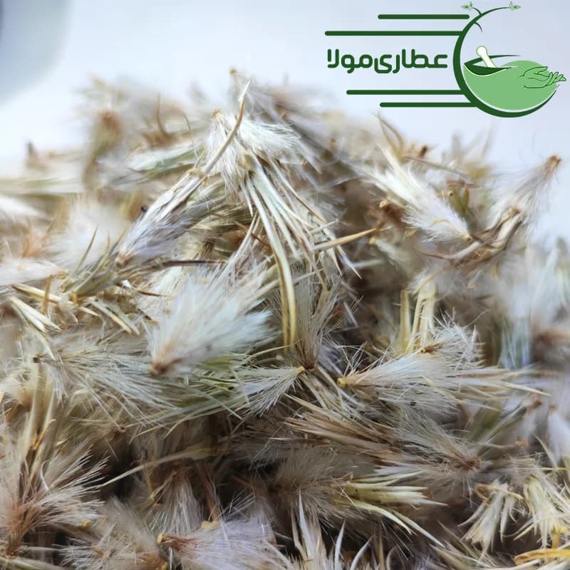 قاصدک کبیر