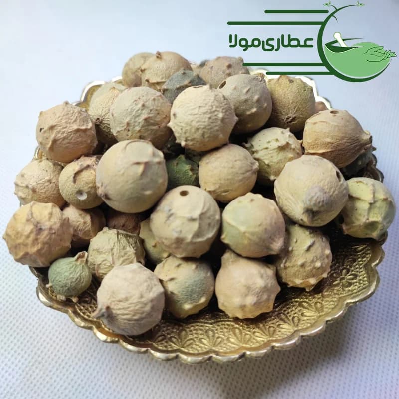 مازو سبز و سفید — تصویر ۳