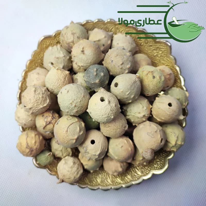 مازو سبز و سفید — تصویر ۲