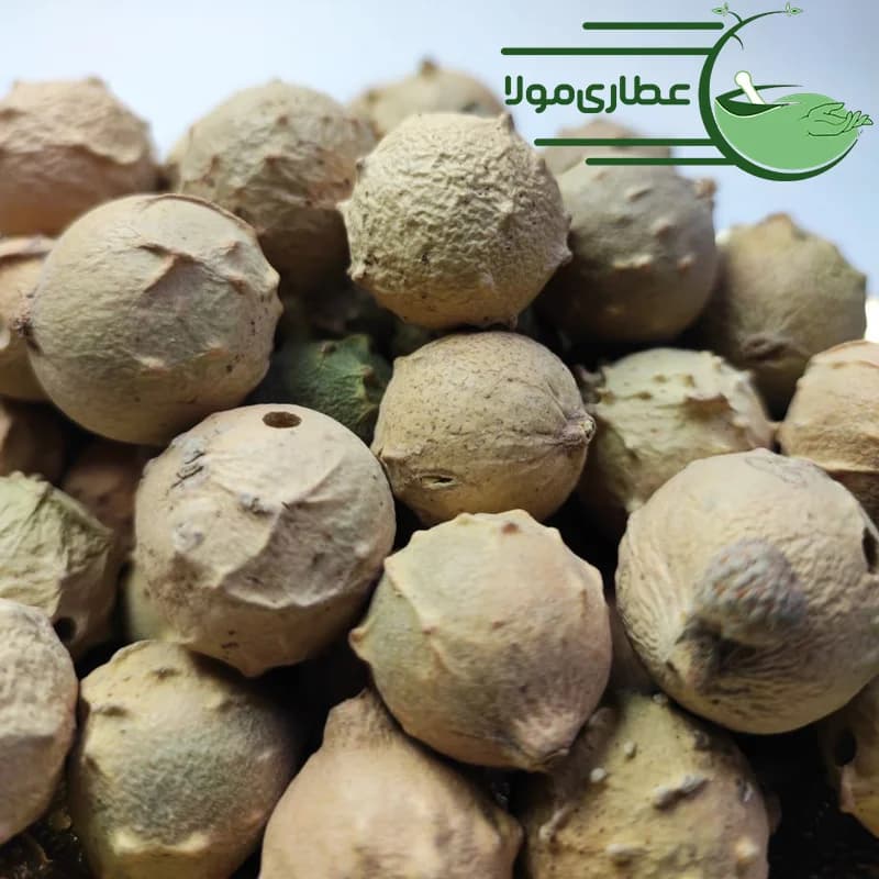 مازو سبز و سفید