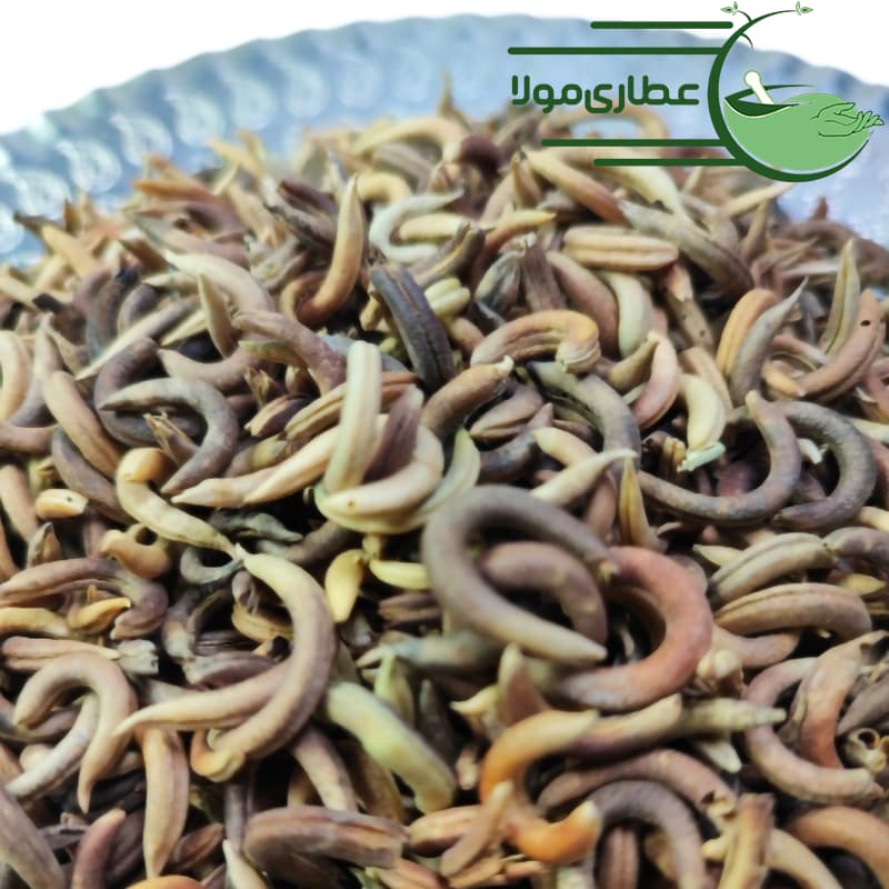 اکلیل الملک – ناخنک