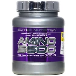 آمینو 5600 سایتک — تصویر ۳