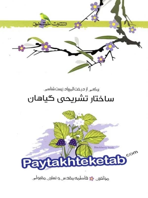 ساختار تشریحی گیاهان خوشخوان — تصویر ۳