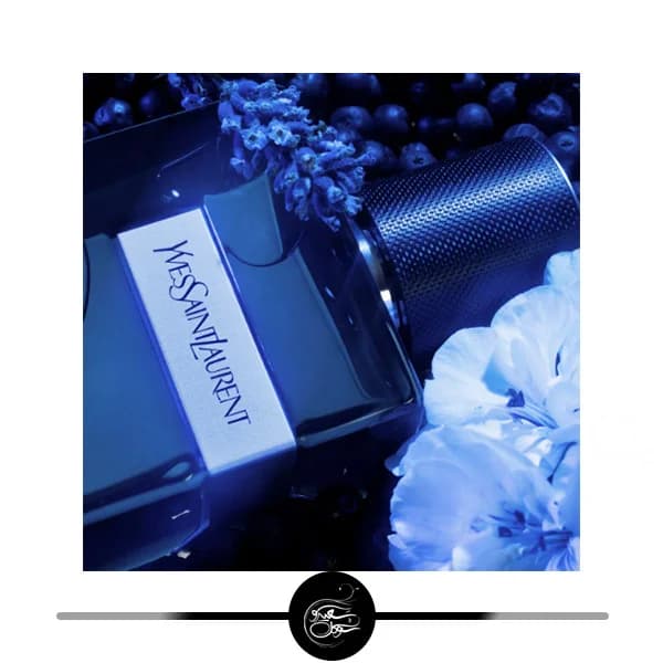 ادکلن ایفسن لورن وای مرد اینتنس 100ml EDP — تصویر ۴