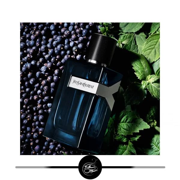 ادکلن ایفسن لورن وای مرد اینتنس 100ml EDP — تصویر ۳