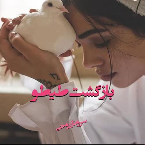 رمان بازگشت طیطو نویسنده : سرو روحی | دانلود | کتاب خوان