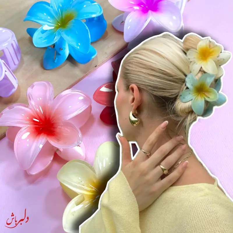 کلیپس پلومریا (حراج) — تصویر ۲