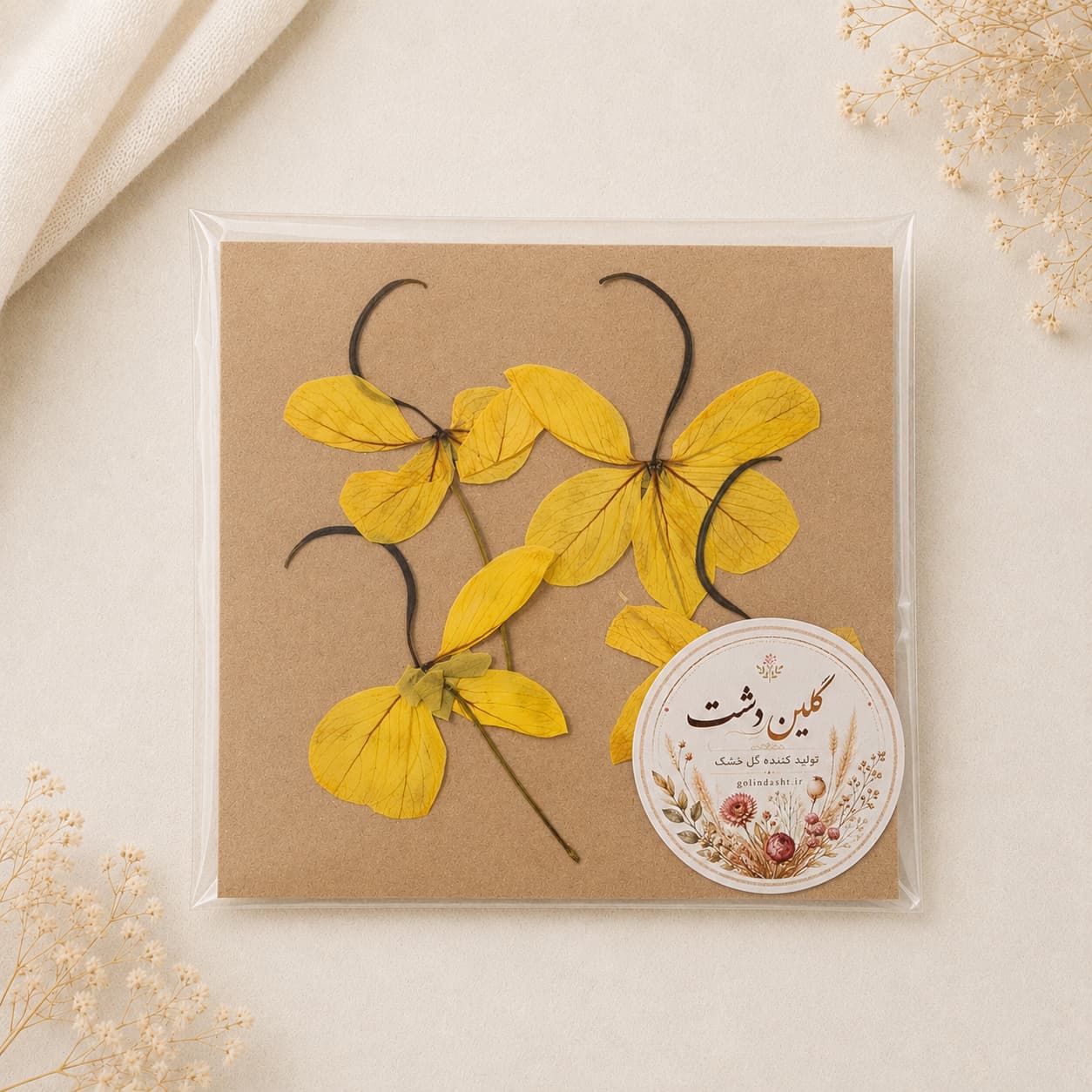 گل باران طلایی نیمرخ پرسی خشک طبیعی – طیف زرد خورشیدی (۴ شاخه)