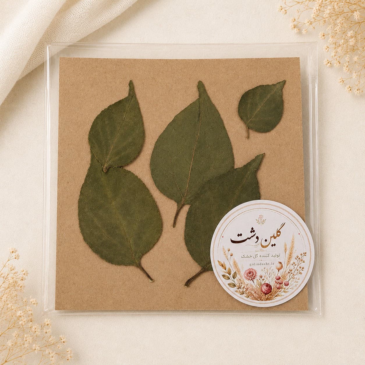 برگ بوگنویلیا (گل کاغذی) پرسی خشک طبیعی – سبز تیره (۵ عددی)