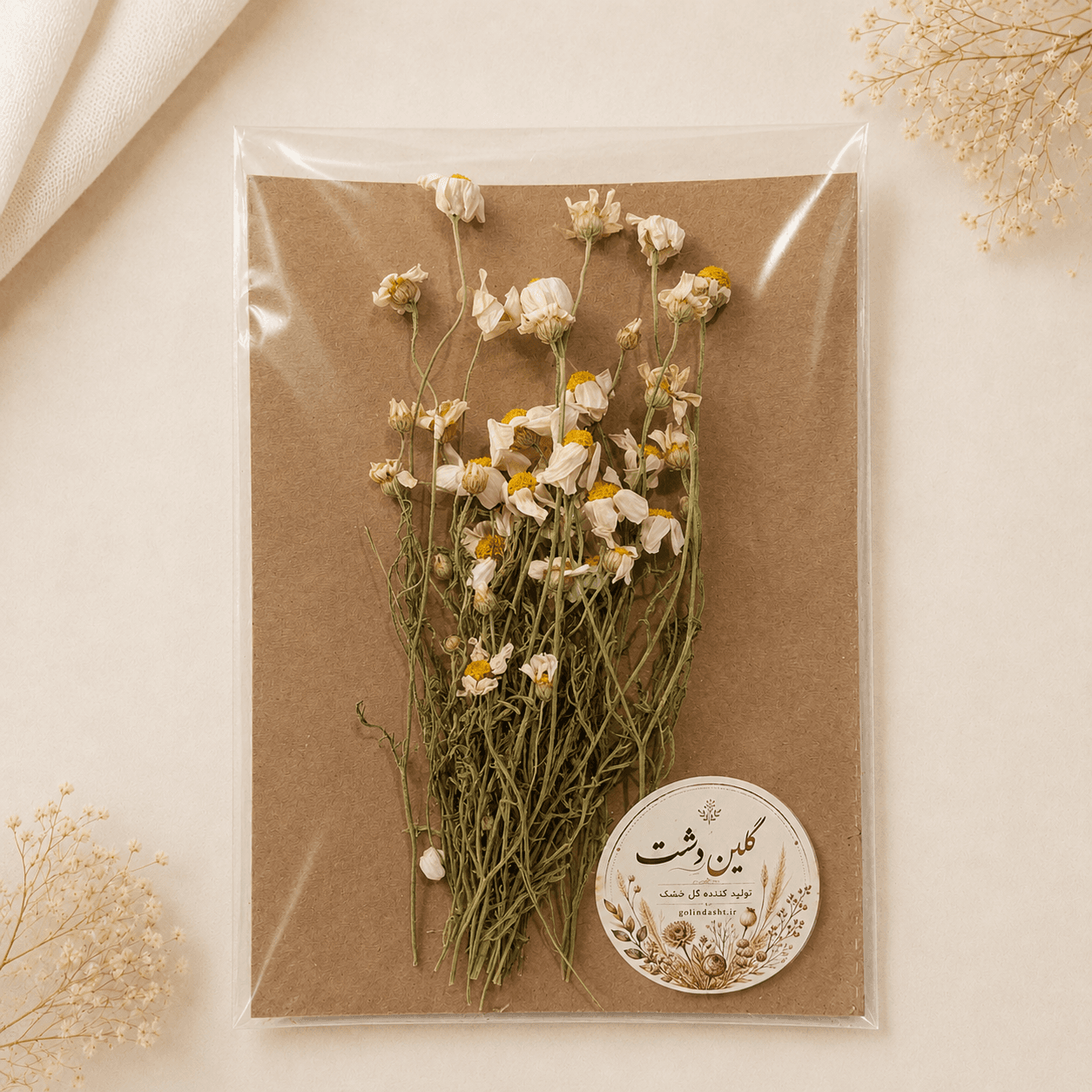 بابونه برجسته خشک طبیعی – شاخه بلند (۵ گرمی)