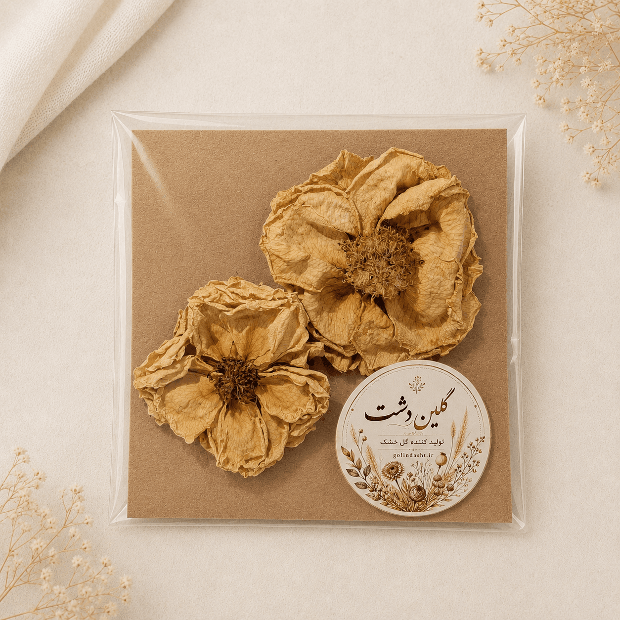 سرگل رز مینیاتوری خشک طبیعی – طیف استخوانی کرمی (۲ عددی گل درشت)